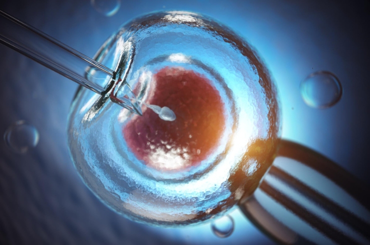 IVF & ART Treatments